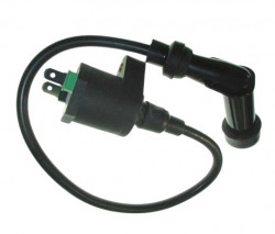 Bobina inductie scuter 4T GY6 (2 papuci)-2
