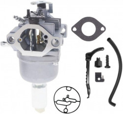Καρμπυρατέρ Briggs&amp;Stratton 794572, 791858
