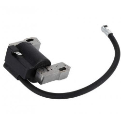 Allumage compatible Briggs &amp; Stratton 2 - 4 hp