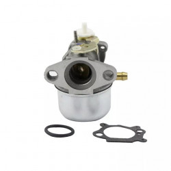 Carburator Briggs&Stratton 497586