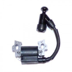 Ignition for Daye DG450, DG600, NAC / NGP T375, T475