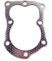 Joint d'huile compatible Briggs &amp; Stratton 5 HP - Img 1