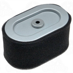 Filtru aer motor Briggs & Stratton 797033