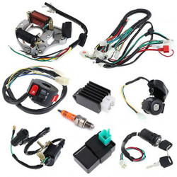Complete electrical installation (ATV 110cc) 9 in 1