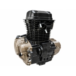 Motor complet FE250 (cutie de viteze 6+0)