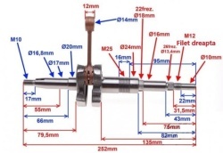 Ambielaj scuter TGB 50cc