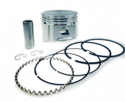 Εμβολοφόροι κινητήρες Briggs &amp; Stratton 10-14 HP (87,3 mm)