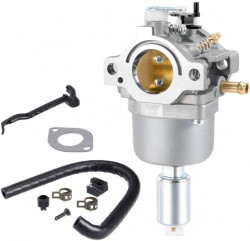 Καρμπυρατέρ Briggs&amp;Stratton 799727, 698620