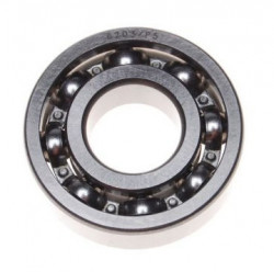 AM6 Roller Radlager (6203)