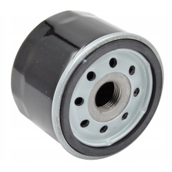 Filtru ulei Briggs & Stratton (492932 / 696854)