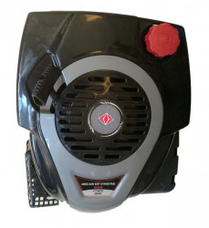 Motor 6 CP / 173cc (ax vertical) Model 1P70