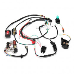 Instalatie electrica completa (ATV ) 9 in 1