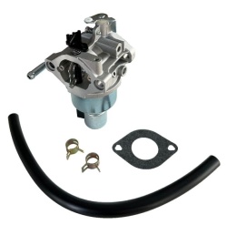 Καρμπυρατέρ Briggs&amp;Stratton 496796, 499153, 591736, 594605, 695412