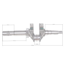 Ambielaj motor Zongshen XP200A 6,5HP 22.2mm (100003836)