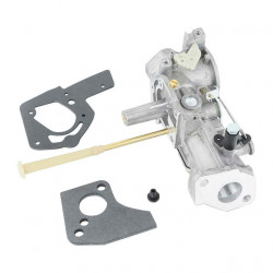 Carburator Briggs&Stratton 495951