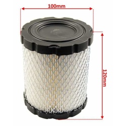Filtru aer motor Briggs & Stratton 798897