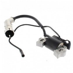 Ignition for Loncin LC1P70FC (Original)