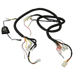 Instalatie electrica scuter roata 10''