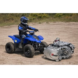 Motor complet ATV 110cc (cutie de viteze 3+1)