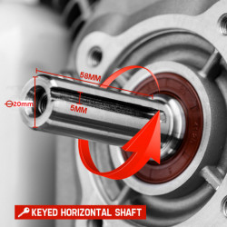 Motor 6.5 CP