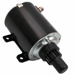 Tecumseh OVXL120 Elektromotor (36680, 33605, 35763)