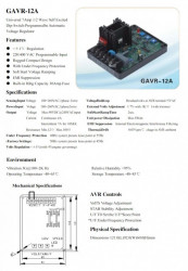 schema AVR Generator model 12 Amperi