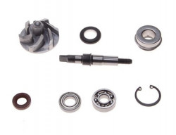Kit de reparación de la bomba de agua para un ATV de 250 cc
