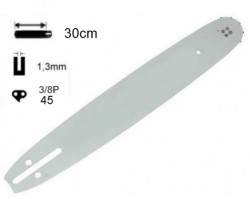 Lama per motosega 22,5 denti passo 3/8 30 cm (cal.2)