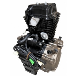 Motor complet FE250 (cutie de viteze 6+0)