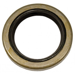 Seal for Briggs & Stratton Classic, Sprint, Quatro 299819S, 299819, 393862  (with flywheel on the side)