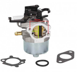 Carburator Briggs&Stratton seria 700, 750 DOV-2