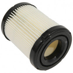 Filtru aer motor Briggs & Stratton 591583