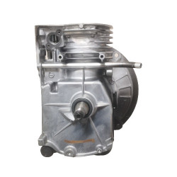 Bloc motor echipat Briggs & Straton