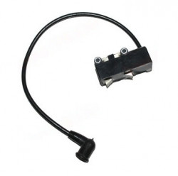 Ignition for atomizor 3w F