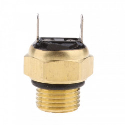 Termostat ATV 