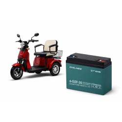 Acumulator vehicule electrice 6-DZF-20 (12V 20Ah)