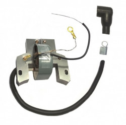 Briggs&amp;Stratton 2 - Μίζα 4cp 298502