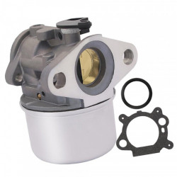 Briggs&amp;Stratton Vergaser 698444 , 799868 , 498254