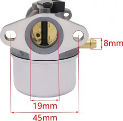 Carburator Briggs&Stratton 499617, 499974 , 790120 - Img 3