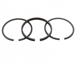 Set segmenti Briggs & Stratton 65.09mm (2X2X4,75 mm) CABER, ITALIA-2