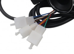 Acceleratie scuter electric City Coco (60V)-3