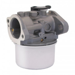 Carburator Briggs&Stratton 698444