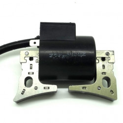 Accensione motore Robin Subaru EX13, EX17, EX21 - Img 2