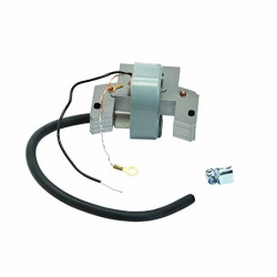 Avviatore Briggs&amp;Stratton 2 - 4cp 298502 - Img 2