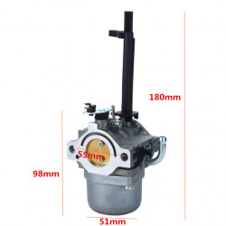 Carburator Briggs&Stratton 591378, 699966