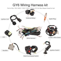 Instalatie electrica scuter GY6 50cc (9 in 1)