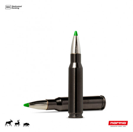 Cartus Norma .308 Win. Ecostrike Silencer | 9,7 g.