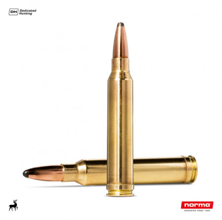 Cartus Norma .300 Win.Mag. Whitetail | 9,7 g.
