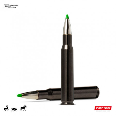 Cartus Norma 30-06 Sprg. Ecostrike Silencer | 9,7 g.