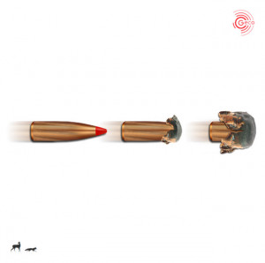 Cartus Geco Express, cal.: .30-06 Sprg. | 10,7 g. - Img 2